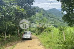 Cần bán 643m có 400m thổ cư tại tân lạc hoà bình, đất vuông vắn bám đường bê tông 30m