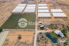 Đất đẹp 2 mặt tiền. sổ có đường. đường quy hoạch 8m đi thẳng biển. giá chỉ 130k. lh em 0938281231