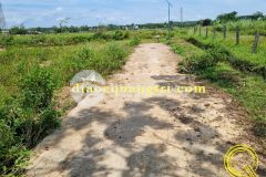 Bán đất giá đầu tư tiềm năng sinh lời tại quảng trị tháng 62022