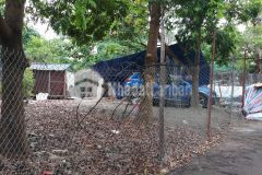 Đất ngõ nhà văn hóa lạc thị, ngõ thông nông an sinh tốt, mt từ 4m giá 1 tỷ hơn.