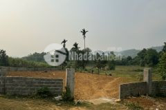 Cần bán 4672m2 có 2000m2 thổ cư view cánh đồng