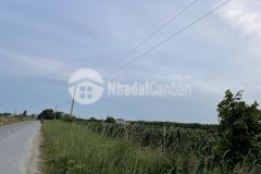 Đất bds mai thúc loan tân hải lagi 15x74 3 tỷ