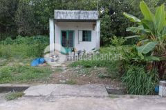 Bán đất tặng căng nhà cấp 4, tại xã minh hòa, huyện dầu tiếng, bình dương