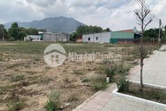 Cần ra 1 lô đất nền xã châu pha thị xã phú mỹ