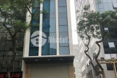 Cho thuê nhà mặt phố phù đổng thiên vương trần xuân soạn 100m2 x 7 tầng, mặt tiền 5 m, thang máy