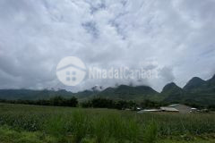 Cơ hội sở hữu mảnh đất rộng tại hà giang thích hợp khai thác du lịch