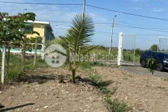 Bán 2633.9m2 đất vườn mt nhị bình 9 hóc môn