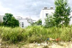 Đất bàu mạc giá không thể tốt hơn, lh minh nguyen 0935112151