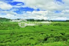 Mộc châu bán mảnh đất 2 mặt tiền nằm trong khu dân cư