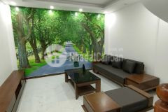 Ba bước ra hồ sen đức diễn 46m2 6 tầng đẹp nhất khu, chỉ 3.6 tỷ.