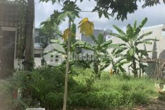 Cần bán lô đất đường nhưa tại bến cát