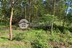 Đất bds sơn mỹ hàm tân becamex bình thuận 1 sào 3,2 tỷ