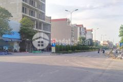 Bán đất tặng nhà làng nghề phù khê, từ sơn, bắc ninh, ô tô 7 chỗ vào nhà, 10m ra ô tô tránh, 338.6m