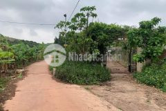 Bán trang trại hiện đại siêu to khổng lồ ở lục nam, bắc giang, 2.6ha, giá 11 tỷ