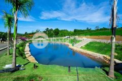 Cần bán nhanh lô đất nền giá ngộp