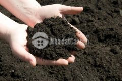 Ban đât kiêt ô tô nguyên lương băng, liên chiêu, 161m2, 2.75 ty