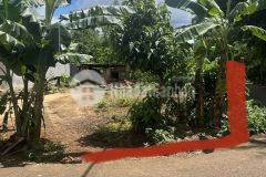 D477 bán đất hẻm 2 mặt tiền buôn tangju xã eakao