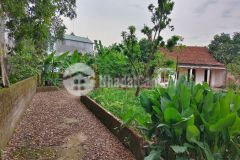 Bán đất thổ cư phù yên, viên an, ứng hoà, dt715m2, mt 25.3m, 5 tỷ