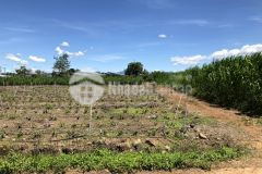 Bán đất 10x43m sẵn thổ cư 2 mặt tiền tại tân hội, đức trọng