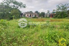 Bán tại thành phố đông hà, tỉnh quảng trị tháng 62022