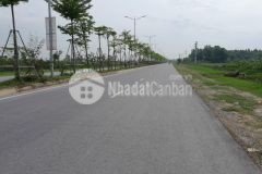 Bán đất đấu giá thanh lâm, mê linh, đối diện hud mê linh central, dt88m2 nhỉnh 3 tỷ.