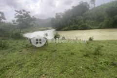 Bán gấp lô đất có dt 1300m2 bám hồ, view hồ núi rừng đẹp siêu đỉnh. phù hợp làm nghỉ dưỡng