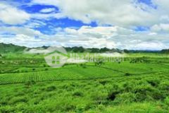 Mộc châu bán đất mặt đường quốc lộ 6 phù hợp kinh doanh du lịch