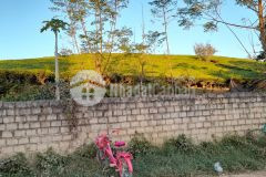 Mộc châu đất 2700m2, có nhà,view đồi chè, giá có thương lượng