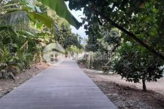 Nền đẹp 15 x 50 thổ cư ngay trung tâm ngã 6 châu thành hậu giang