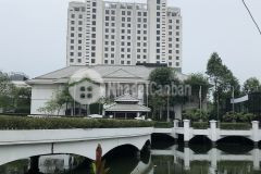 Bán biệt thự phố từ hoa hồ tây 176m2 33 tỷ ở cực sướng wiew ks thắng lợi