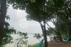 Chuyển nhượng đất vườn phù sa bãi sông hồng, tứ liên