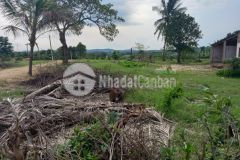 Đất bds sông phan hàm tân bình thuận 6,1 sào 3,8 tỷ