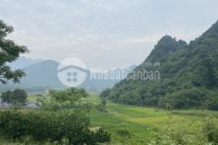 Bán gấp siêu phẩm nghỉ dưỡng dt 2707m2 ở bình sơn, view núi non cực đỉnh