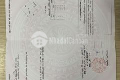 Lô đất đường 21 nguyễn xiển kế bên vinhome vị trí đẹp, diện tích 55m giá tốt