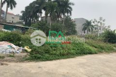 Bán đất đấu giá thôn viên nội xã vân nội đông anh hà nội