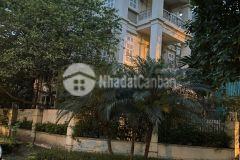 Bán biệt thự cao cấp ciputra bắc từ liêm