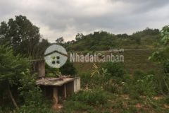 Bán mảnh đất giá cả hợp lý chiềng sơn mộc châu dt 499m2