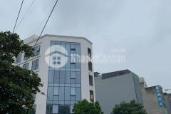 Nha phô đai mô, nha đep ơ luôn, ô tô đô cưa, 45m gia 4.25 ty