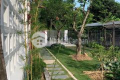 Chỉ 119trm2 mảnh đất 512m2 tây hồ ngõ 3 ô tô 7 chỗ vào nhà kinh doanh đỉnh cao.