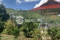 Bán đất mộc châu có nhà có vườn view đẹp giá hợp lí