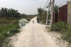 Đất cây lâu năm đẹp hẻm xe hơi, tam đa trường thạnh, quận 9, 2723m2 12.5ty