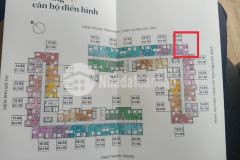 Căn góc. chung cư blusta trâu quỳ 58.5m2 view hồ điều hoà. giá chỉ 24trm2.