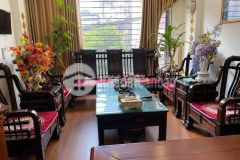 Cần bán nhà phố trần nguyên đán kđt mới định công dt 82m2 giá 12 tỷ.