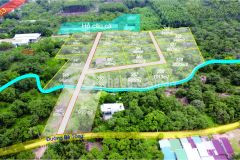 Bán hơn 2 mẫu đất tcln tại suối cát xuân lộc, đã tách sẵn 20 sổ riêng. lh0345030797