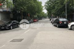 Bán gấp đất dịch vụ xa la, kinh doanh, 50m2, mt4.2m, ô tô vỉa hè, nhỉnh 7 tỷ