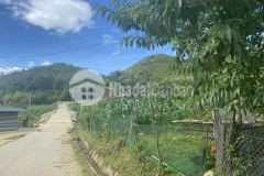 Bán đất phìn hồ, y tý, bát xát, lào cai s250m2