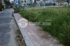 Ban đât 3 container tranh nhau 5.5 ty mâu lương ha đông