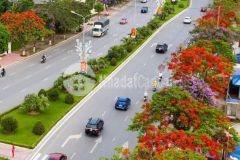 Nhượng lại 108m2 đất đồ sơn, hải phòng cạnh bãi tắm khu 1