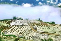 Đất mộc châu bên suối mt 30m