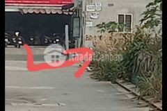 Bán lô đất hẻm 1520 đường nguyễn duy trinh, p. long trường, quận 9, dt 52m23.8tỷ.